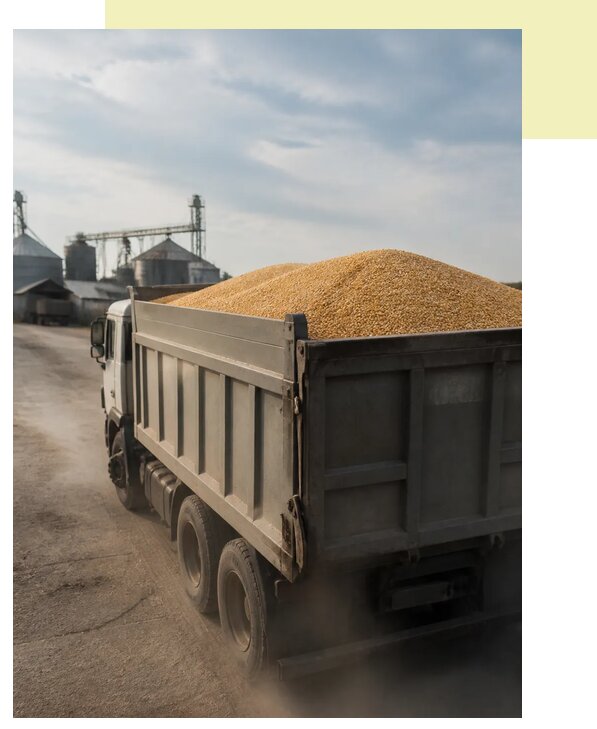 Перевозка сельхозпродукции навалом в Железногорск по цене от 3101 р. | Агросервис-Жлр