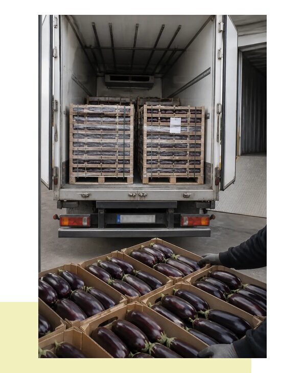Перевозка баклажанов в Железногорск с соблюдением температурного режима