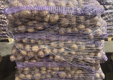 Поставка крупной партии картофеля